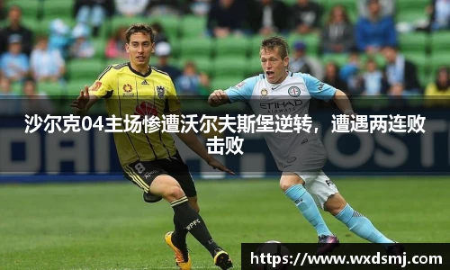 沙尔克04主场惨遭沃尔夫斯堡逆转，遭遇两连败击败