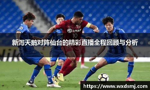 新泻天鹅对阵仙台的精彩直播全程回顾与分析