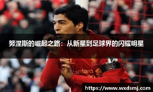 努涅斯的崛起之路：从新星到足球界的闪耀明星