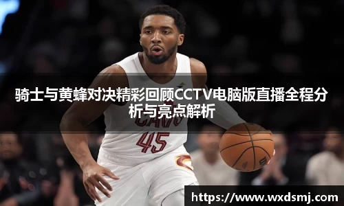 骑士与黄蜂对决精彩回顾CCTV电脑版直播全程分析与亮点解析