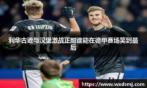 利华古逊与汉堡激战正酣谁能在德甲赛场笑到最后