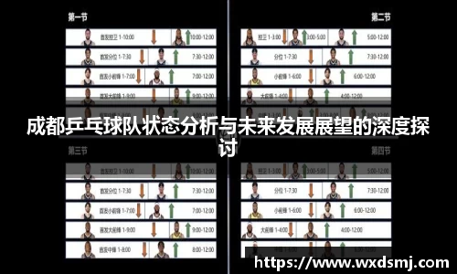 成都乒乓球队状态分析与未来发展展望的深度探讨