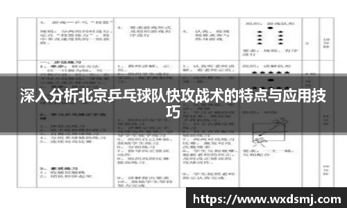 深入分析北京乒乓球队快攻战术的特点与应用技巧